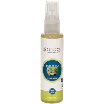 Desodorante Natural Spray Aloe Vera