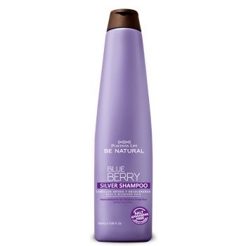 Shampoing pour cheveux gris Blueberry silver
