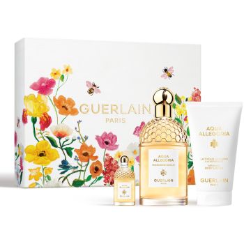Aqua Allegoria Mandarine Basilic Cofre Eau de Toilette