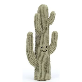 Amuseable Desert Cactus Pequeño