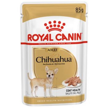 Chihuahua Nourriture humide pour chien adulte