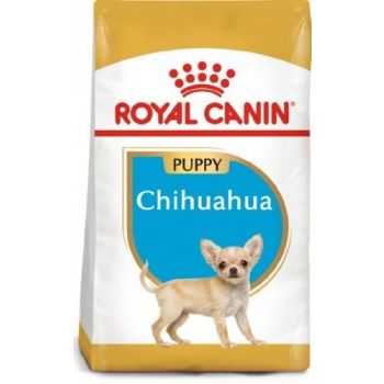Refeições para cães Chihuahua Puppy