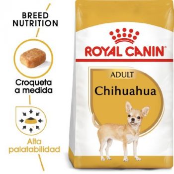Almoço para cães Chihuahua Adulto
