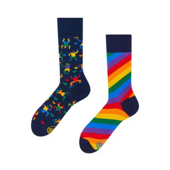 Chaussettes The Rainbow