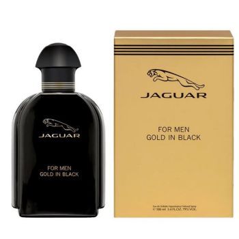 Gold In Black Eau de Toilette