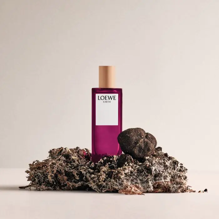 Loewe Earth ✓ Eau de Parfum | Perfumerias Primor
