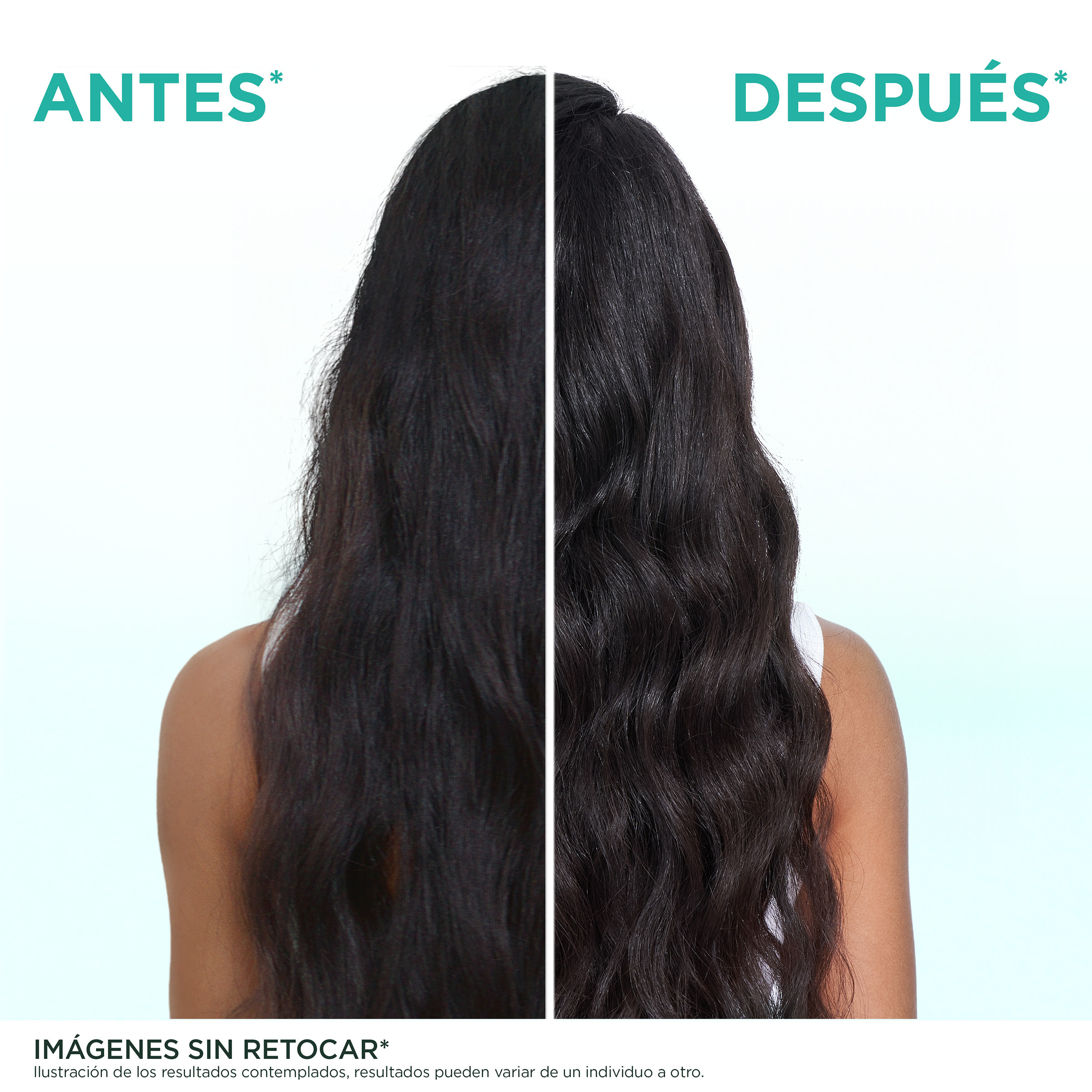 Fructis Hair Food Aloe Vera Champú Hidratante · detalle 2