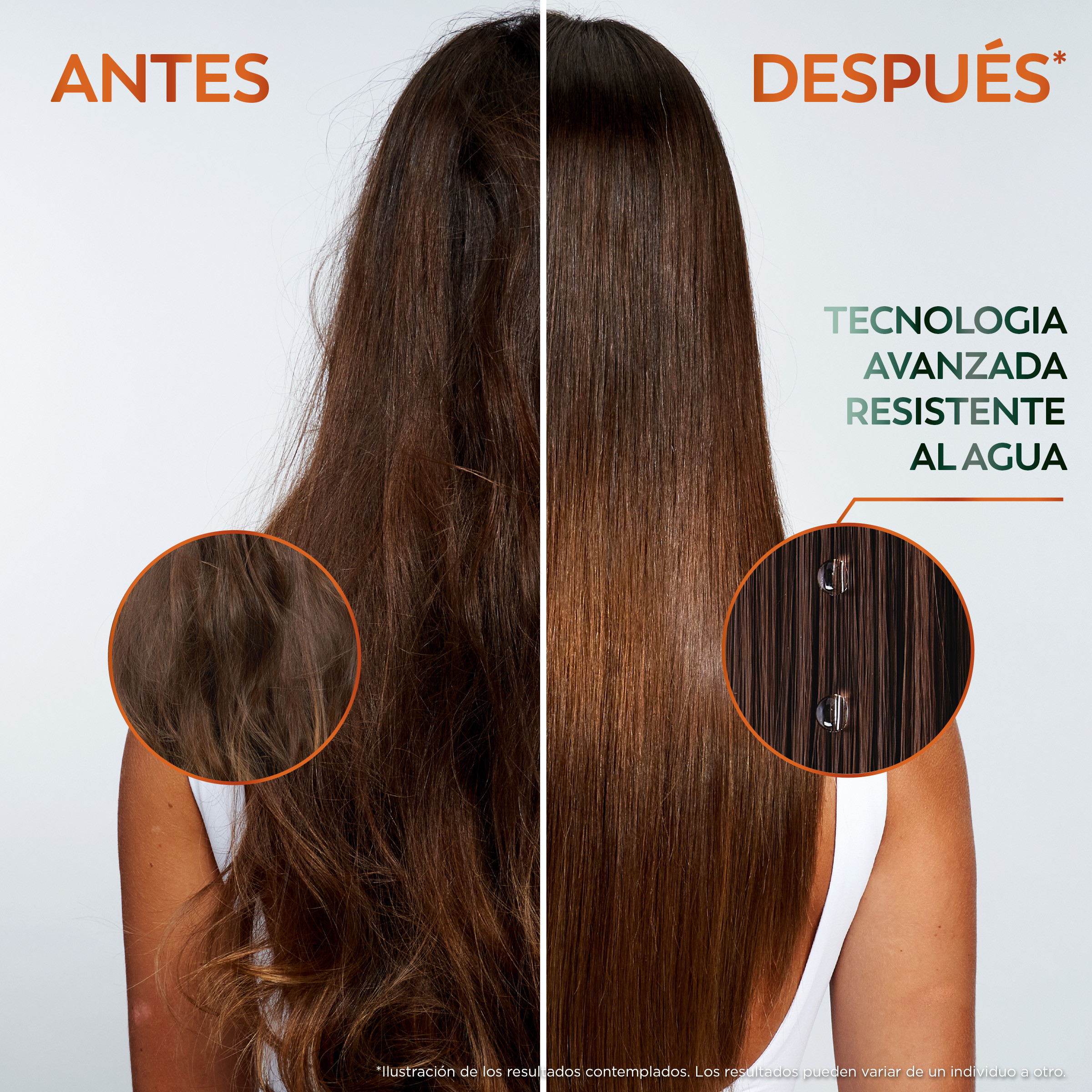Fructis Nº1 Champú Liso Keratina · detalle 3