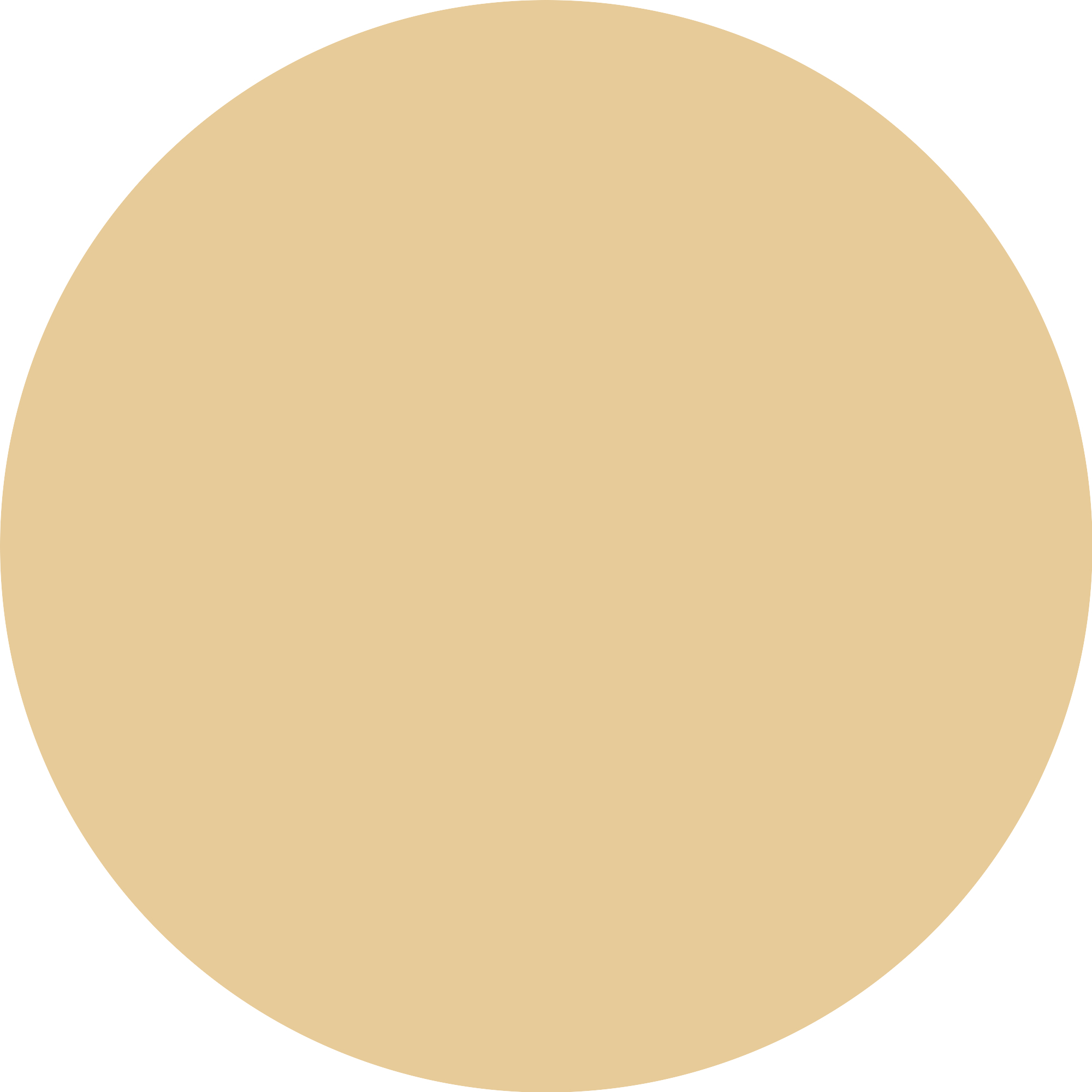 CC Skin Perfector · detalle 1