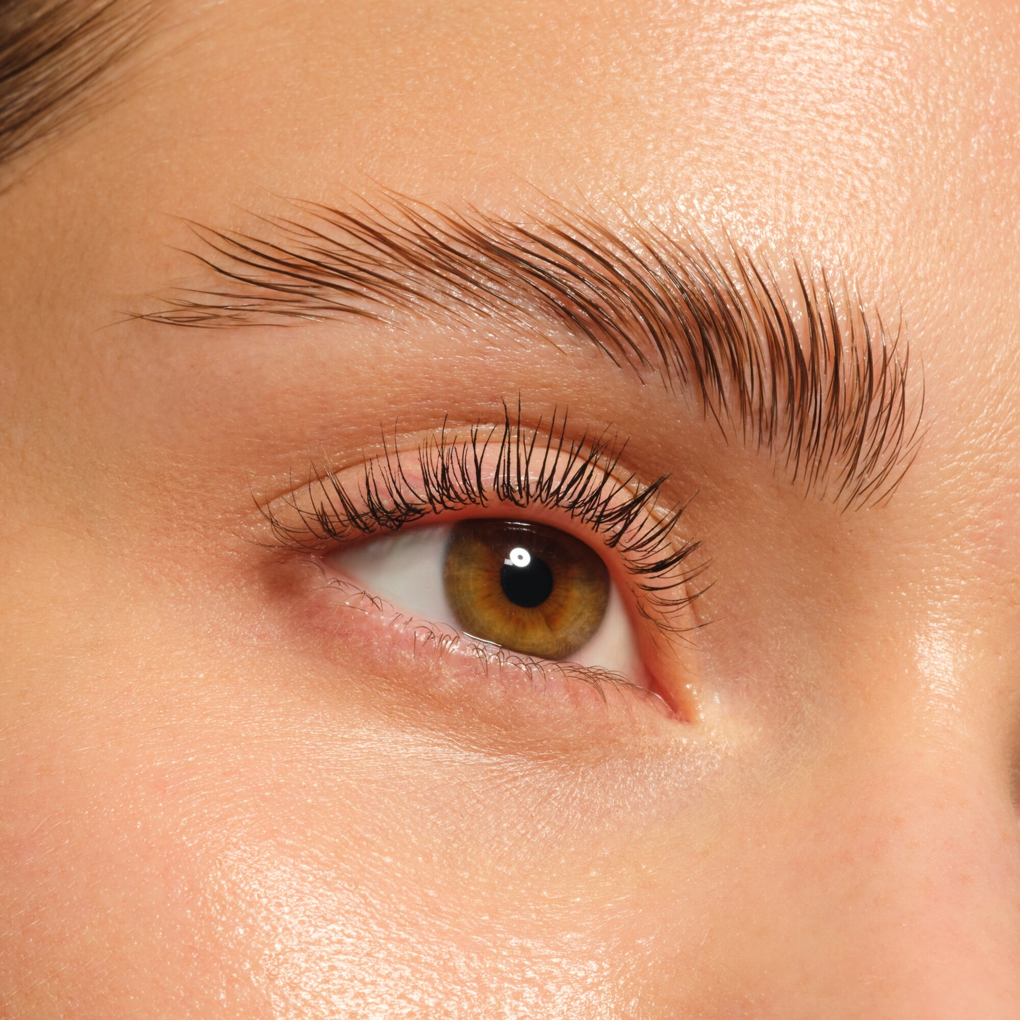 Levanta Cejas Brow Lifter Extremo · detalle 4