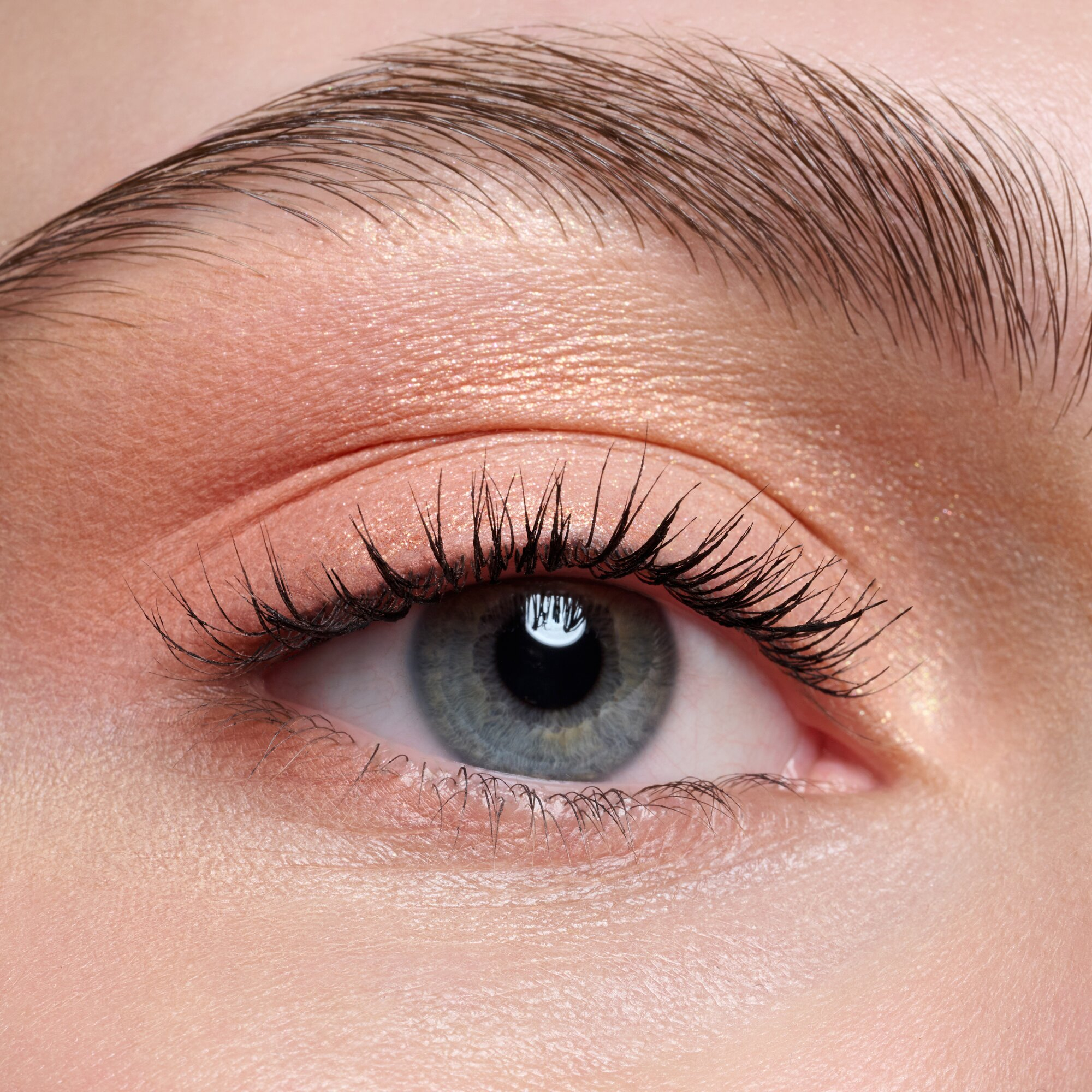 Paleta Sombras The Warm Honey · detalle 3