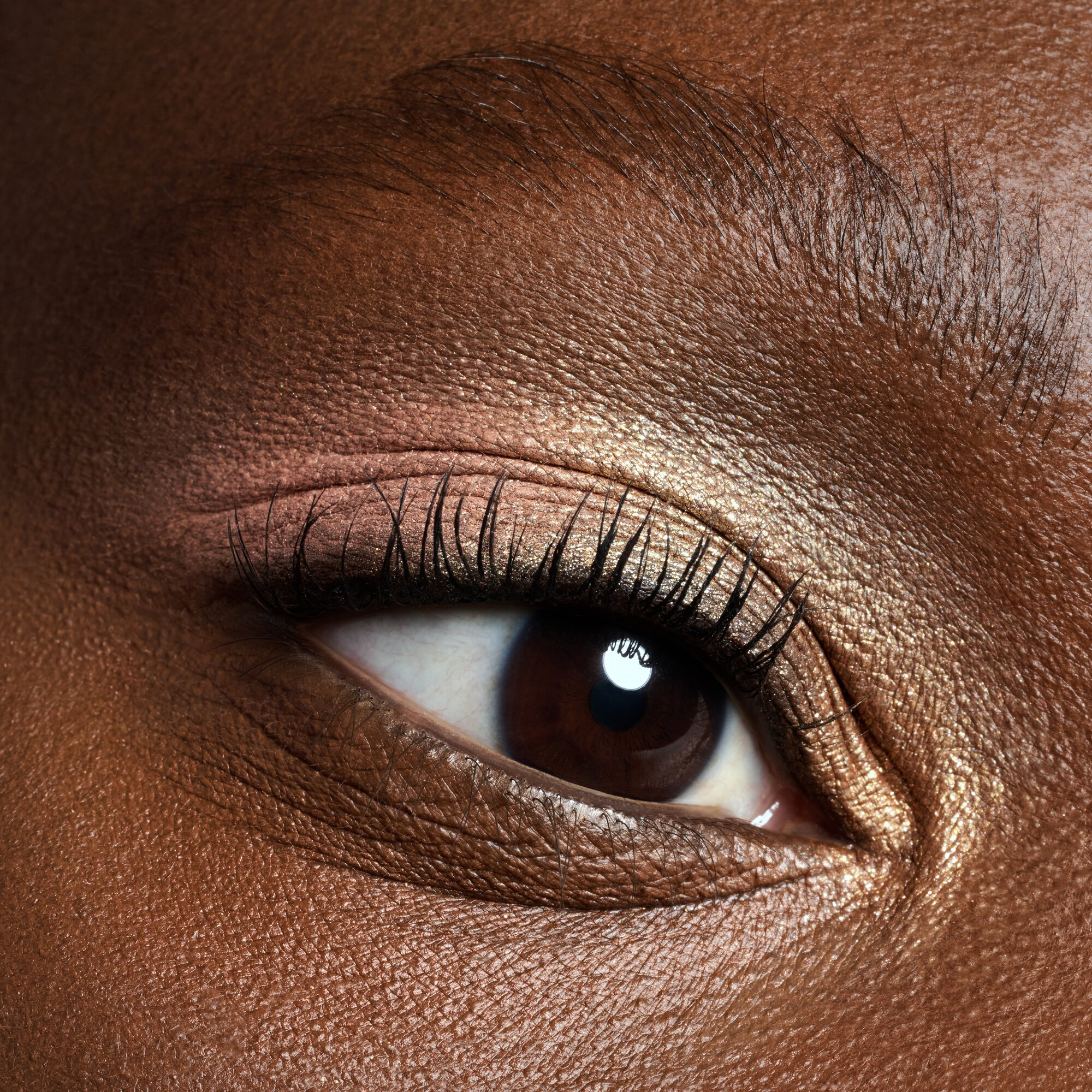 Paleta Sombras The Warm Honey · detalle 4