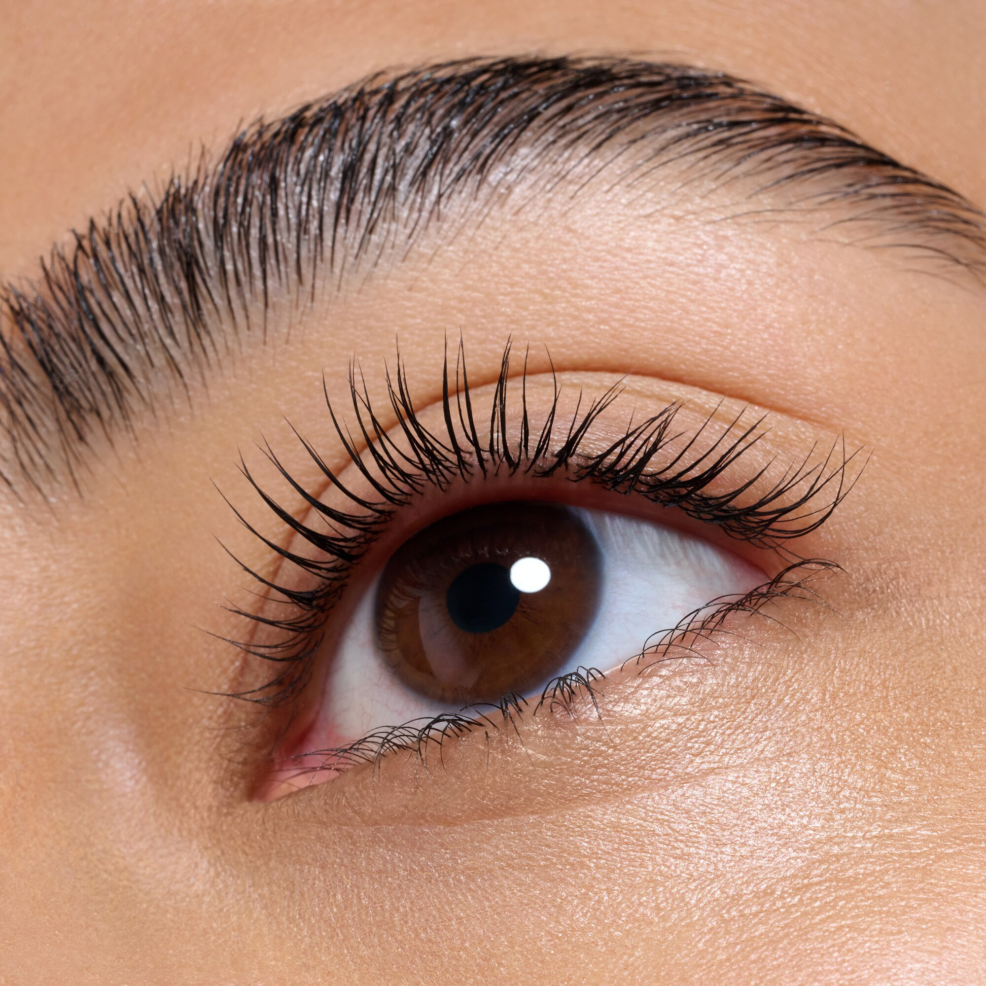 Glam & Doll Curl Freeze Gel Esculpir Pestañas · detalle 5