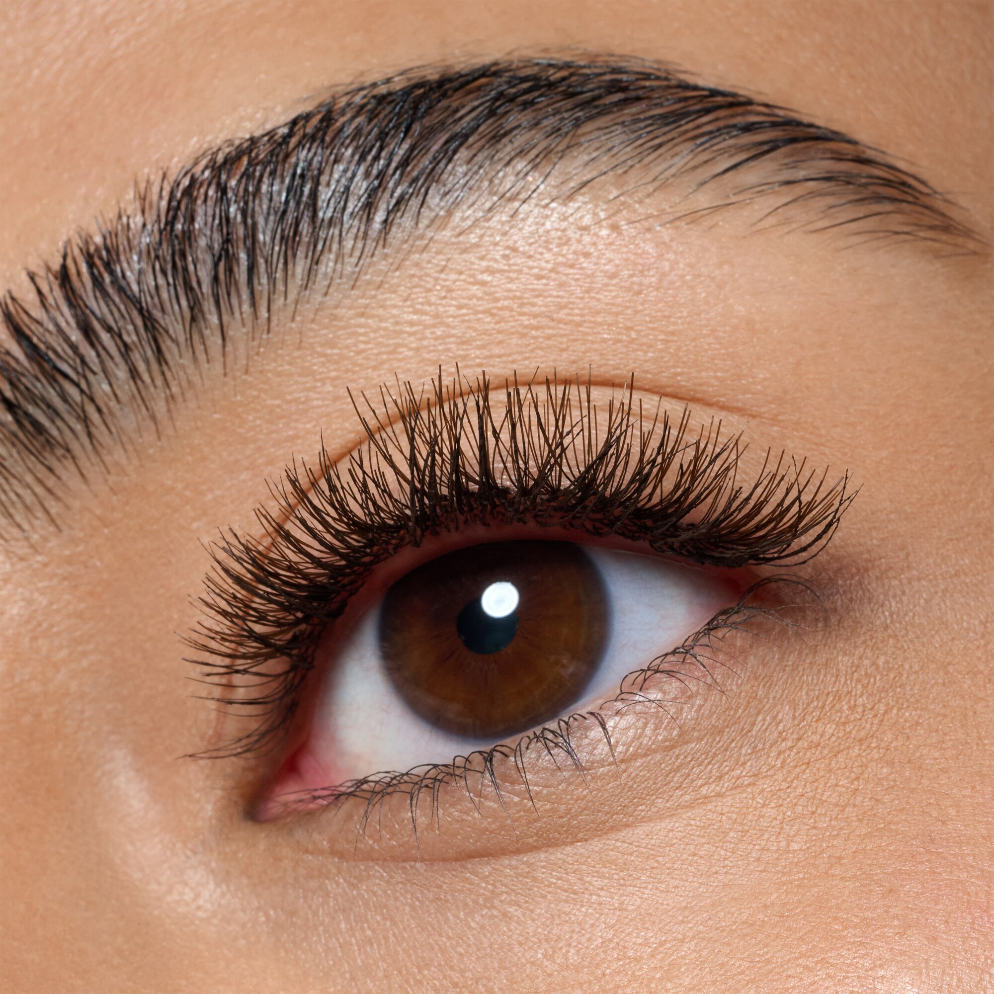 Pestañas Postizas Faked Brown Cluster Lashes · detalle 2