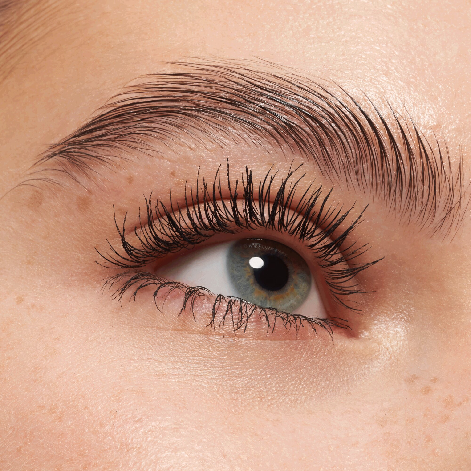 Lash Princess Máscara de Pestañas Sculpted Volume · detalle 3