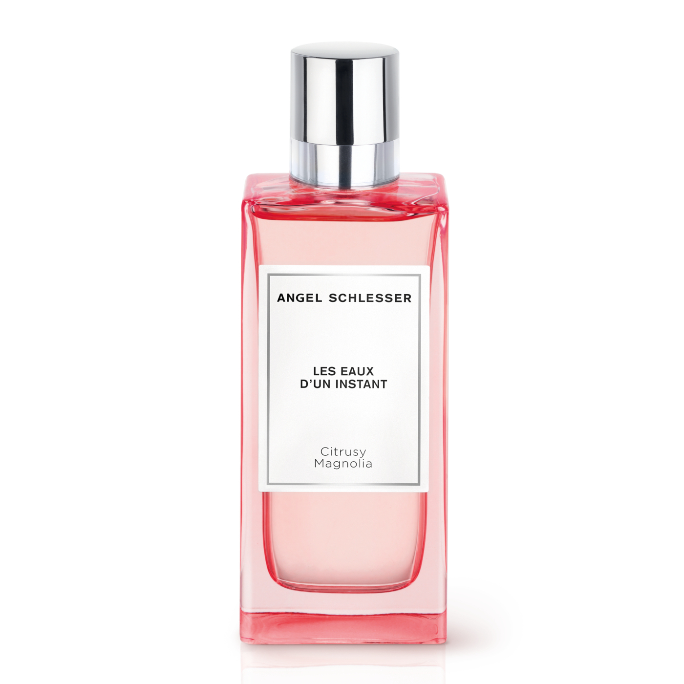 Citrusy Magnolia
