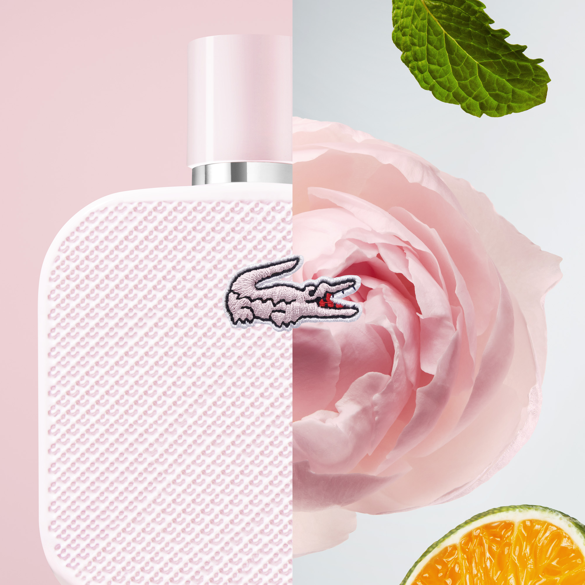 Lacoste L.12.12 Rose ✓ Eau de Parfum | Perfumerias Primor