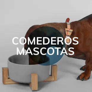 Comederos y mascotas