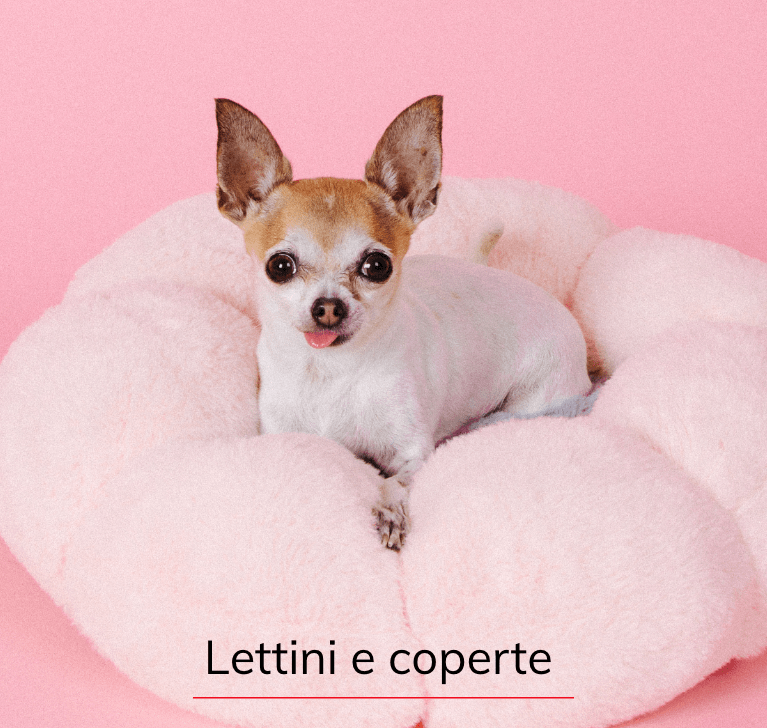 Lettini e coperte