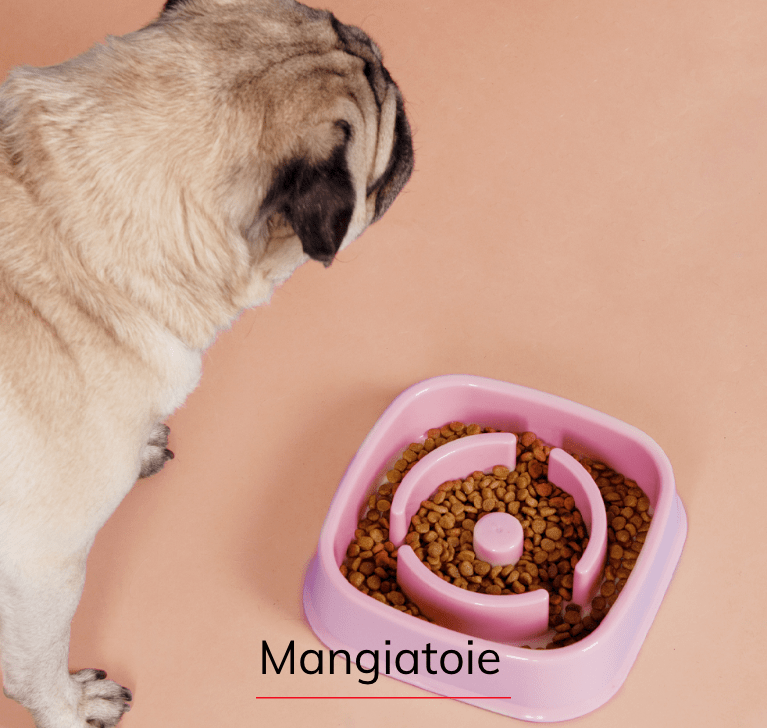 Mangiatoie