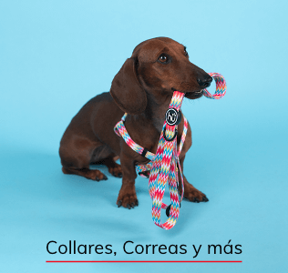 Collares, correas y más