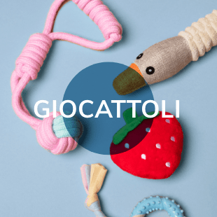 Giocattoli