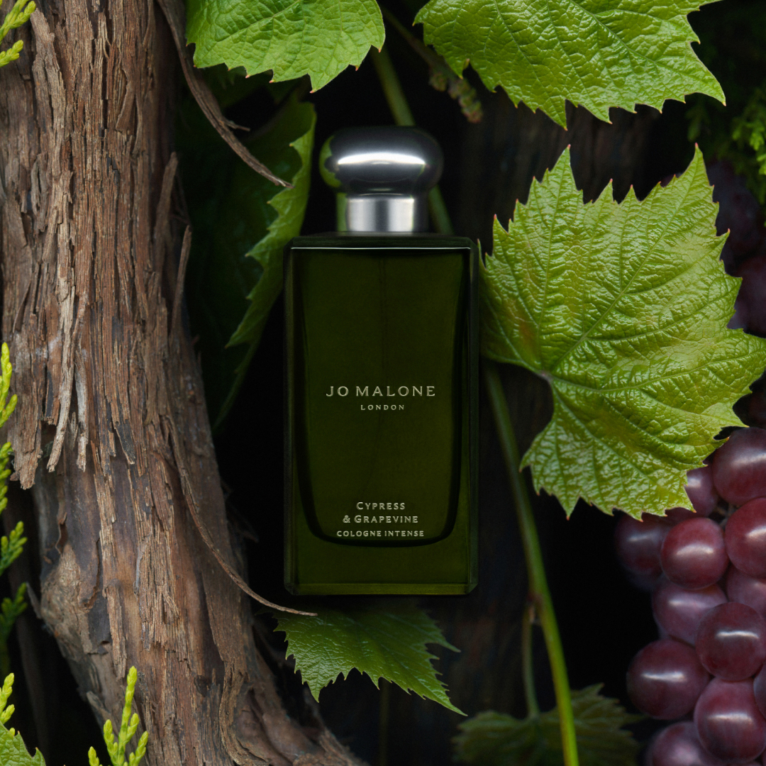Cypress & Grapevine Jo Malone